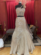 Champagne Crystal Corset One Shoulder Lehenga