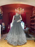 Grey BallGown With Feathers