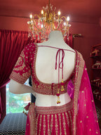 Rani Pink Asopalav Bridal Lehenga