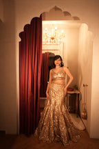 Golden Aura Fishcut Lehenga With Shimmering Sleeveless  Blouse