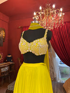 Red Lehenga Choli with Moti Handwork Blouse