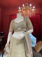 Pastel Multi Hand Work Lehnga