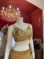 Golden Aura Fishcut Lehenga With Shimmering Sleeveless  Blouse