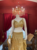 Golden Aura Fishcut Lehenga With Shimmering Sleeveless  Blouse