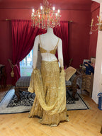 Golden Aura Fishcut Lehenga With Shimmering Sleeveless  Blouse