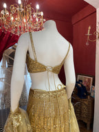 Golden Aura Fishcut Lehenga With Shimmering Sleeveless  Blouse