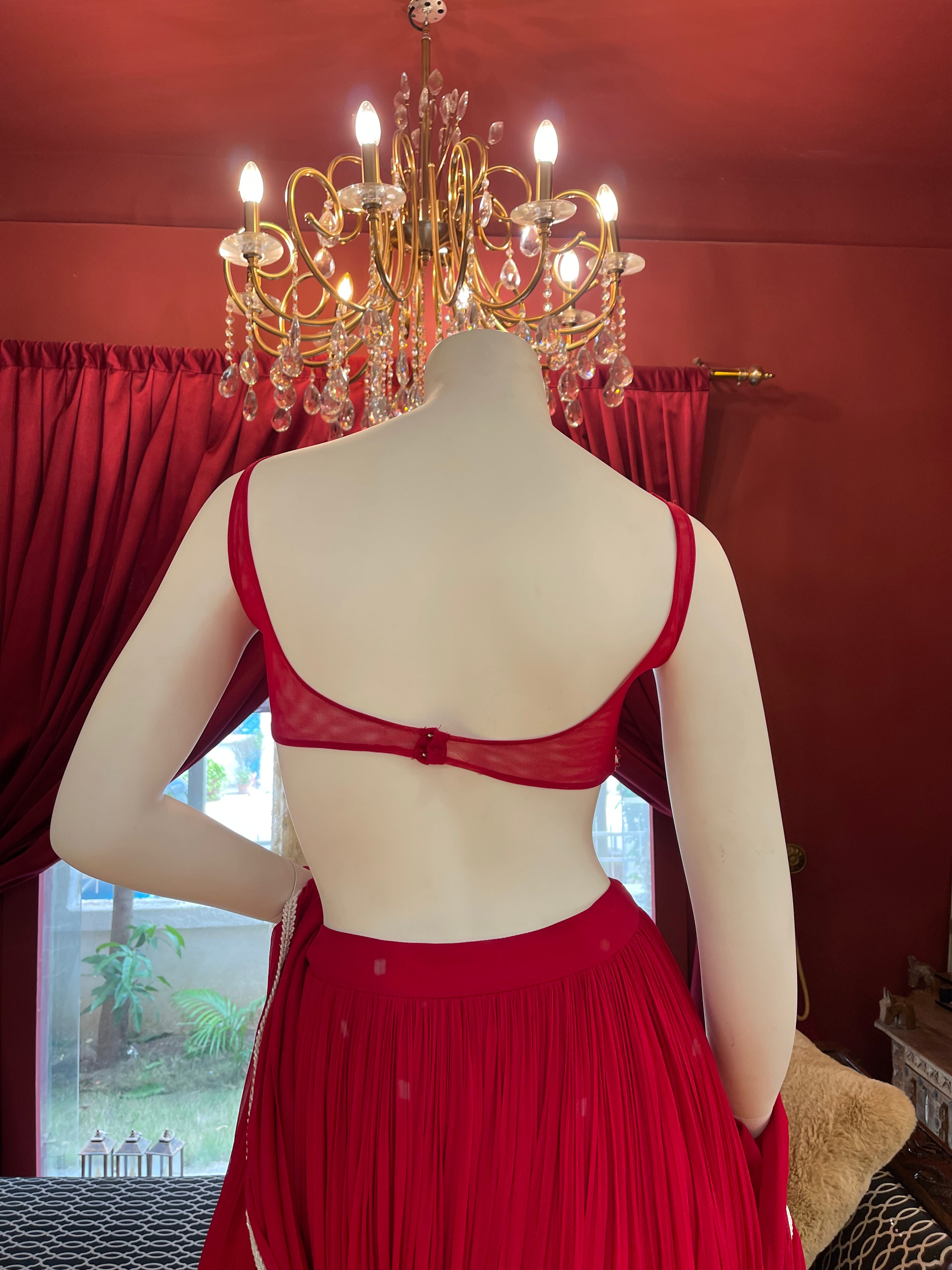 Red Lehenga Choli with Moti Handwork Blouse