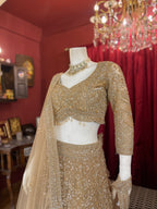 Golden Hand Work Lehenga Set