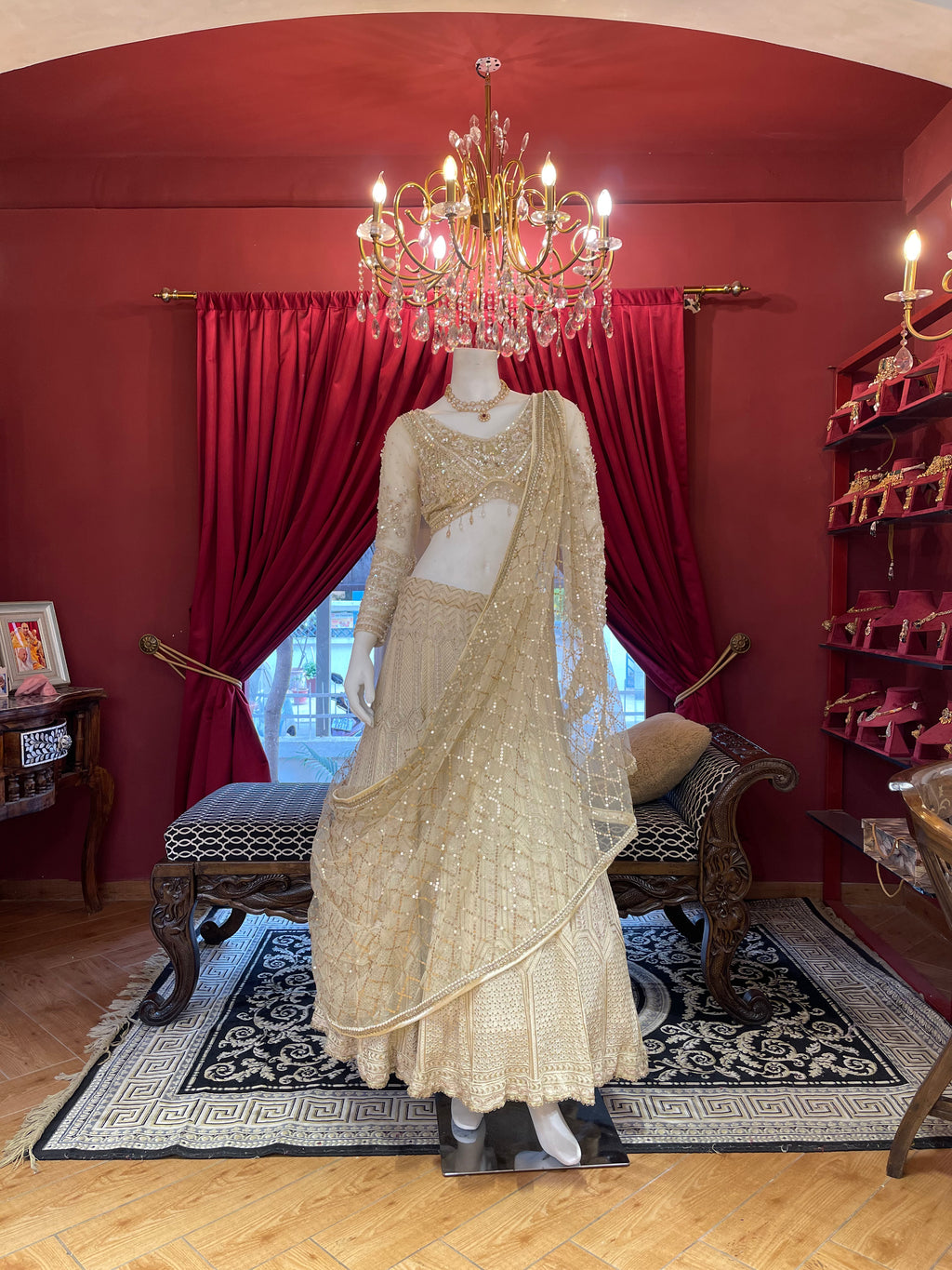 Champagne shimmer Elegance Lehenga
