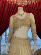 Champagne shimmer Elegance Lehenga