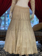 Champagne shimmer Elegance Lehenga
