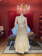 Champagne shimmer Elegance Lehenga
