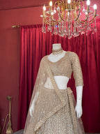 Champagne Gold Heavily Embellished Sequined Lehenga Choli Set