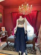 Enchanted Blue Lehenga with Handwork Golden blouse