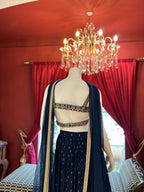 Enchanted Blue Lehenga with Handwork Golden blouse