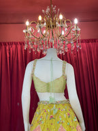 Lime Green & Bright Yellow Embroidered Lotus-Panel Lehenga Set with Pink Accent