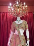 Champagne Gold Embroidered Floral Lehenga Choli Set