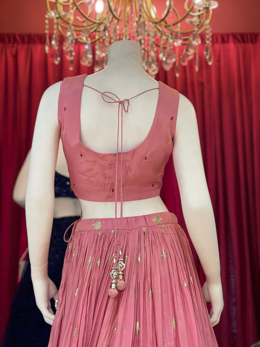 Pink Peacock Garden Lehenga X Devanshi