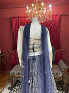 Blue Printed Shell Detail Lehenga