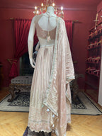 Pastel Peach Heavy Blouse Thread Work Lehenga