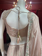 Pastel Peach Heavy Blouse Thread Work Lehenga