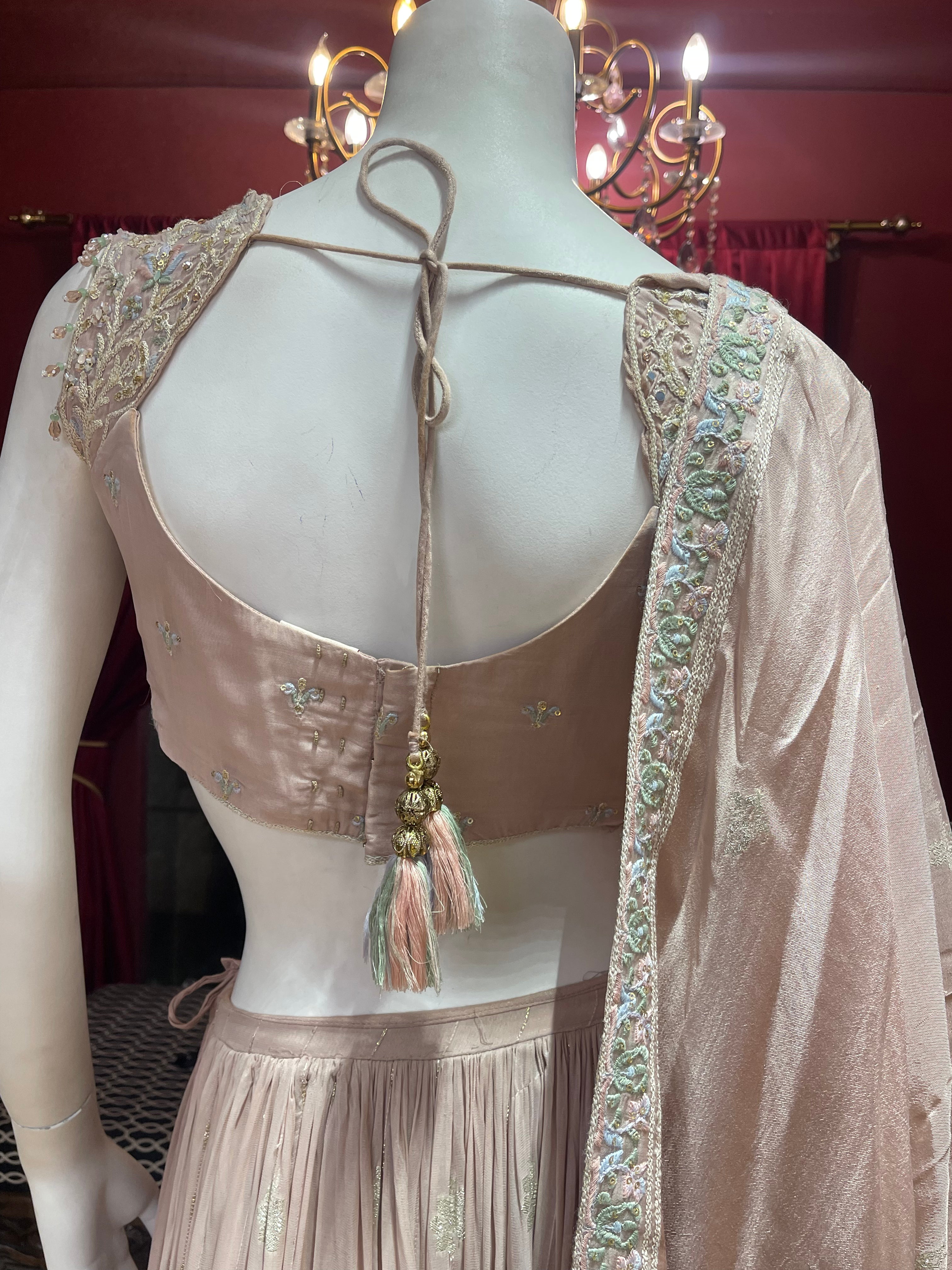 Pastel Peach Heavy Blouse Thread Work Lehenga