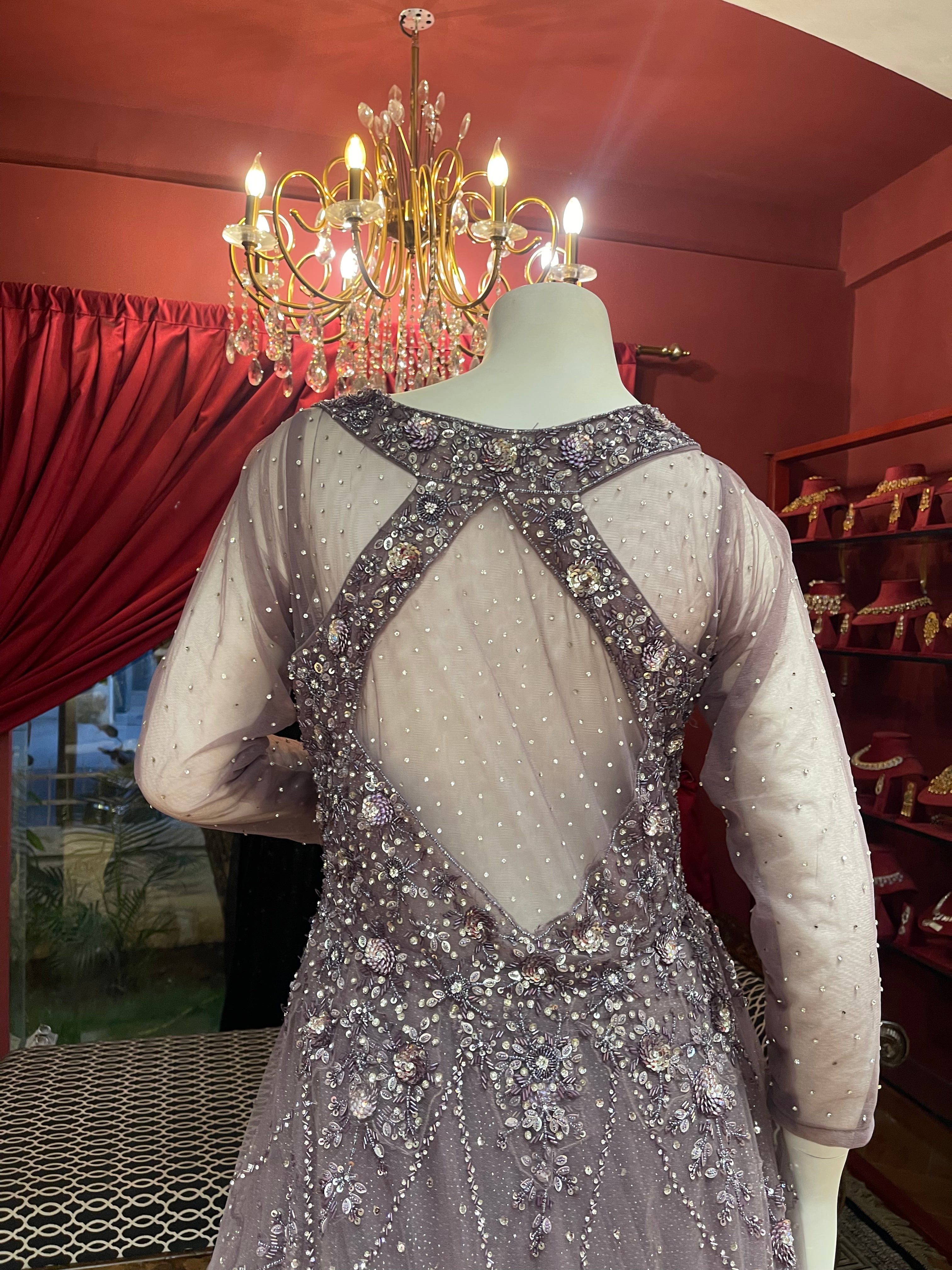 Onion Net Full Sleeves Gown