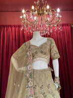metalic beige tissue and net lehengha