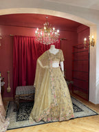 metalic beige tissue and net lehengha