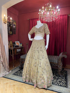metalic beige tissue and net lehengha