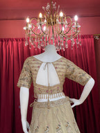metalic beige tissue and net lehengha